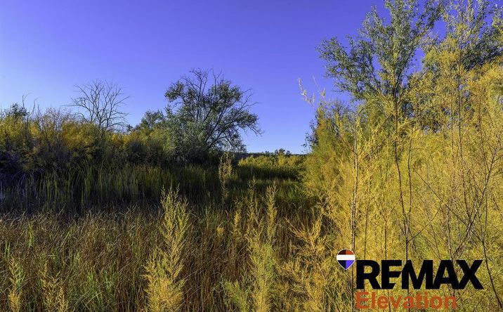 Pictures of Land property located at 1769 Hwy 310, Lovell, WY 82431 for sales - image #1