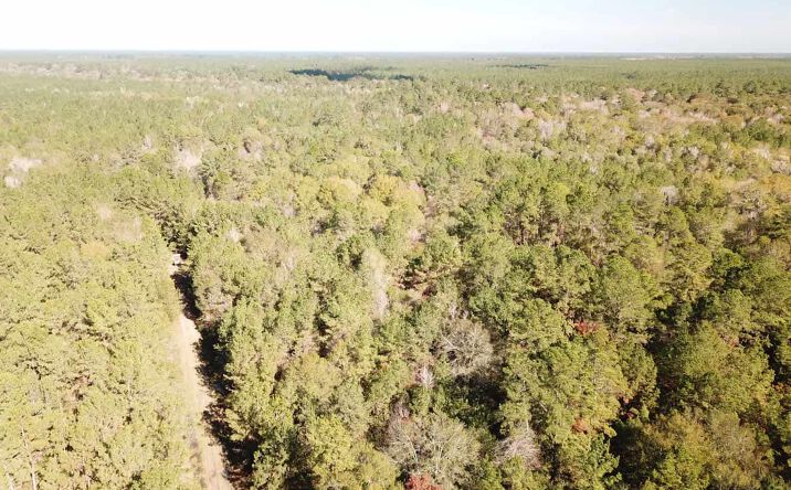 Pictures of Land property located at Village Mills Dr, Hardin, TX 77561 for sales - image #1