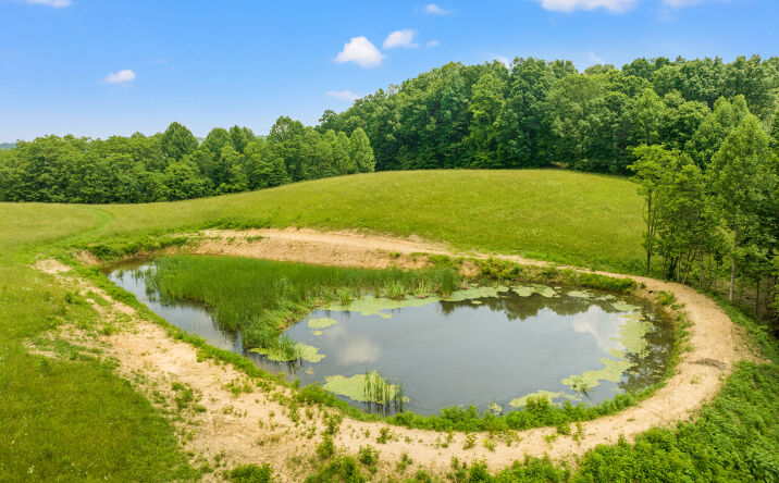 Pictures of Land property located at 1945 Pittman Branch Rd, Mount Vernon, KY 40456 for sales - image #1
