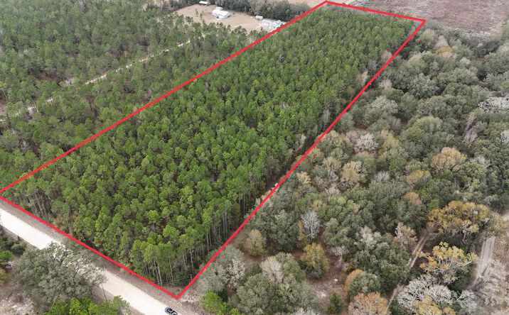 Pictures of Land property located at TBD NE 10th Ave, Trenton, FL 32693 for sales - image #1