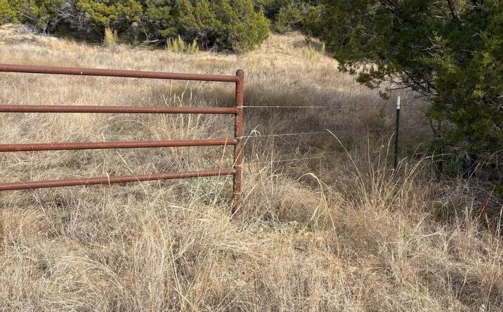 Pictures of Land property located at TBD FM Rd 1148, Graford, TX 76449 for sales - image #1