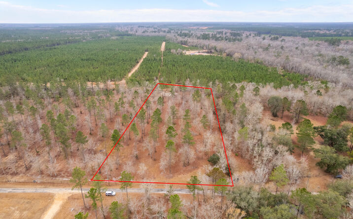 Pictures of Land property located at Loggan Ln, Jesup, GA 31546 for sales - image #1