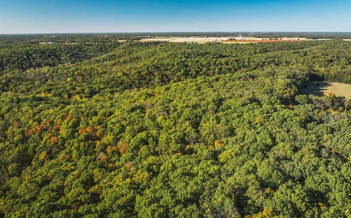 Pictures of Land property located at TBD County Road 4055, Rhineland, MO 65069 for sales - image #1