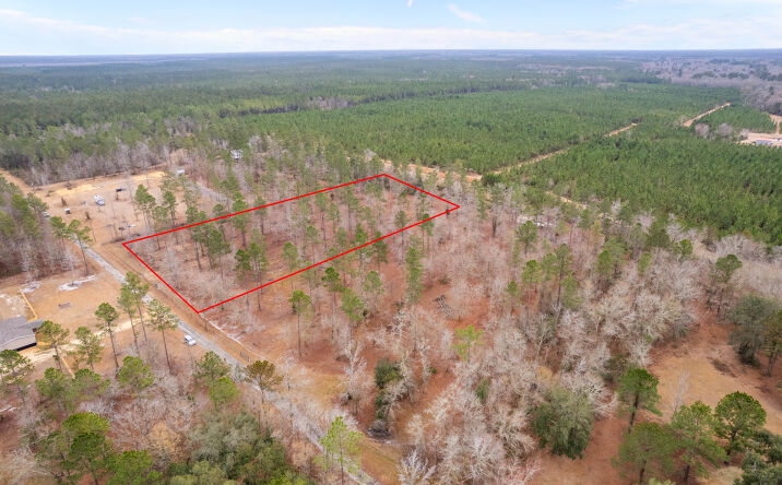 Pictures of Land property located at Loggan Ln, Jesup, GA 31546 for sales - image #1