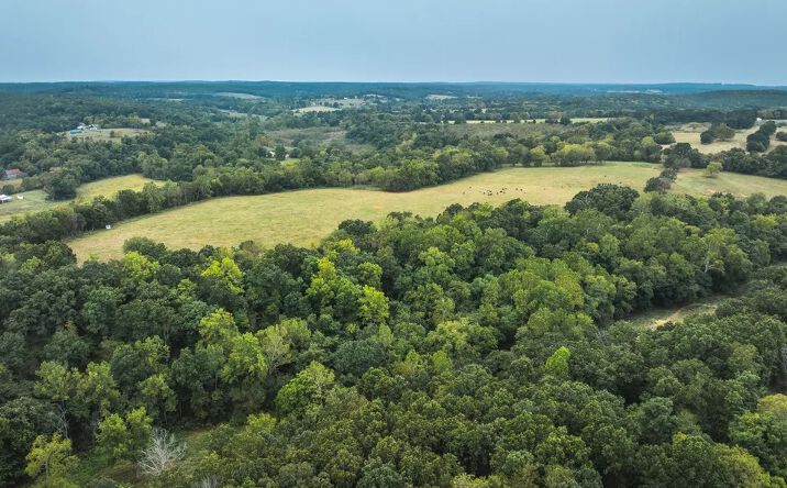 Pictures of Land property located at TBD Highway N-Tract 2, Lebanon, MO 65536 for sales - image #1