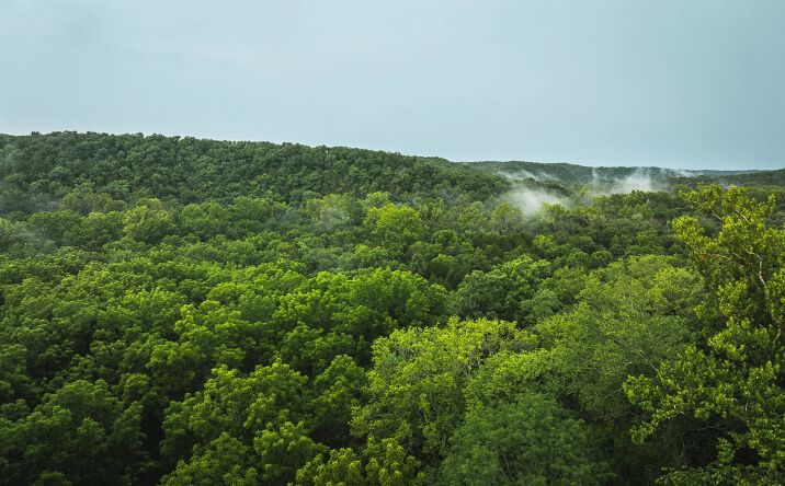 Pictures of Land property located at County Road 7250, Newburg, MO 65550 for sales - image #1