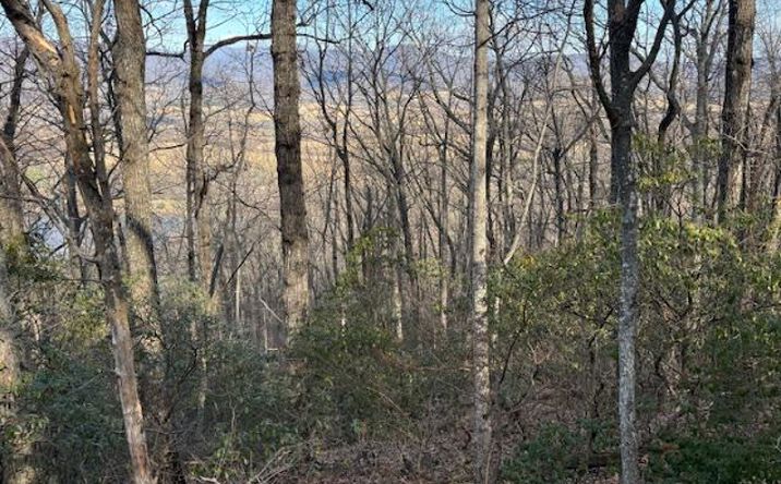 Pictures of Land property located at 1402 Top Ridge Rd, Stanardsville, VA 22973 for sales - image #1
