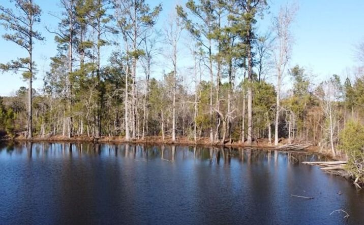 Pictures of Land property located at Chinook Drive, Blair, SC 29015 for sales - image #1