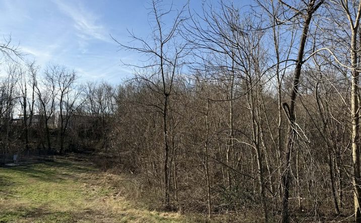 Pictures of Land property located at Shelley St, Albany, KY 42602 for sales - image #1