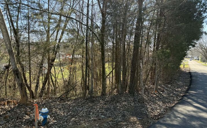 Pictures of Land property located at Rainbow Dr, Albany, KY 42602 for sales - image #1