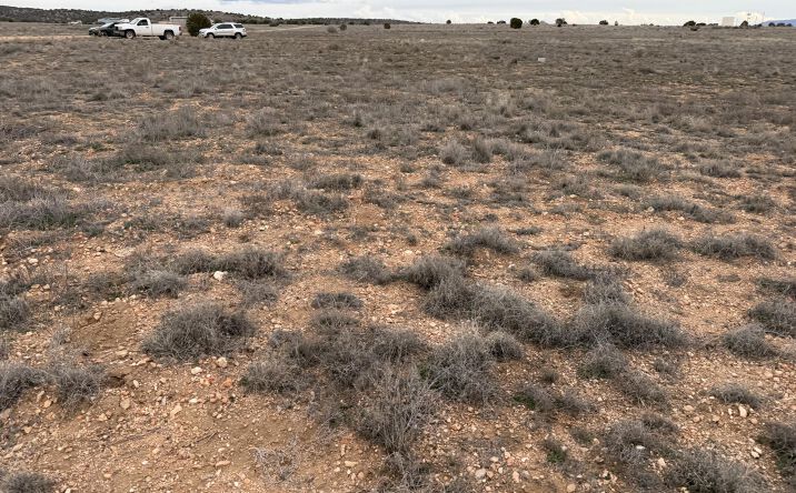 Pictures of Land, Multifamily property located at 25867 N Robin Drive, Paulden, AZ 86334 for sales - image #1