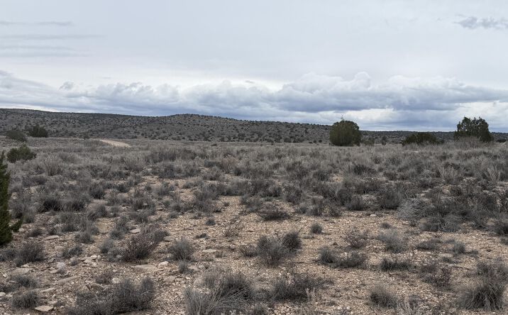 Pictures of Land, Multifamily property located at 25672 N Lopez Drive, Paulden, AZ 86334 for sales - image #1