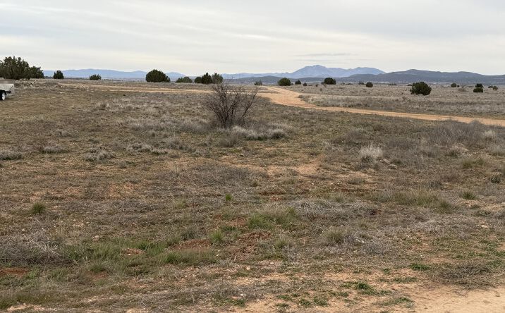 Pictures of Land, Multifamily property located at 317 E Ahonen Road, Paulden, AZ 86334 for sales - image #1