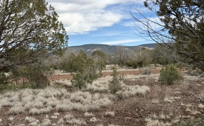 Pictures of Land, Multifamily property located at 1224 W Ridgeview Drive, Williams, AZ 86046 for sales - image #1