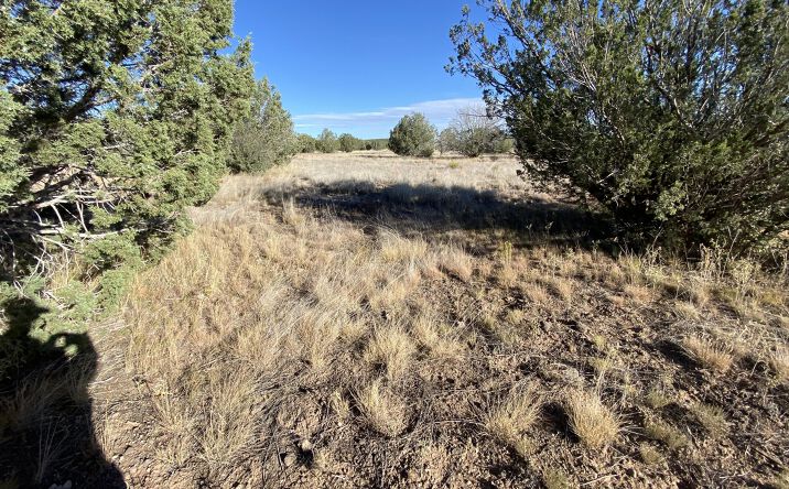 Pictures of Land, Multifamily property located at 3160 W Mesa Drive, Ash Fork, AZ 86046 for sales - image #1