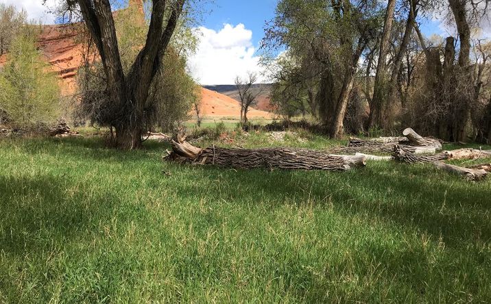 image of property at 4201 TRAPPER CREEK RD Shell WY 82441