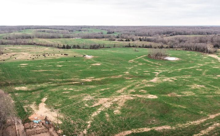 Pictures of Land property located at 80 Acres off Kofhal Road, Licking, MO 65542 for sales - image #1