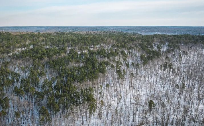 Pictures of Land property located at Highway NN, Grandin, MO 63943 for sales - image #1