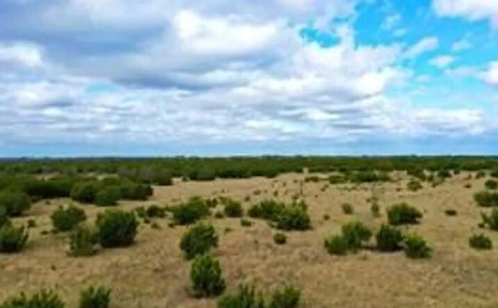 Pictures of Land property located at 1588 County Road 118, Carlton, TX 76436 for sales - image #1