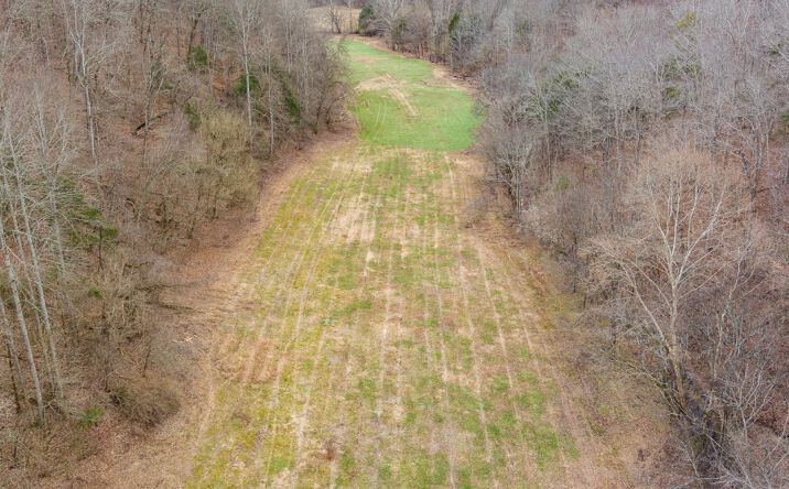 Pictures of Land property located at Willis Creek Rd, Snow, KY 42602 for sales - image #1