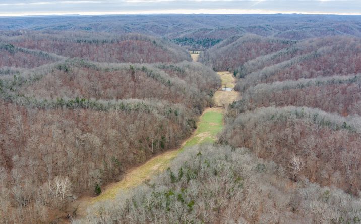 Pictures of Land property located at Willis Creek Rd, Albany, KY 42602 for sales - image #1