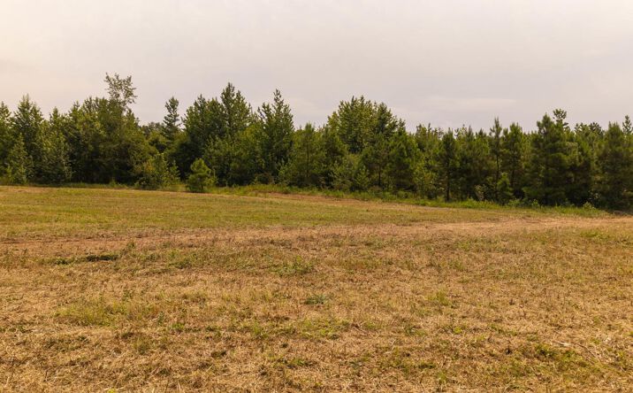 Pictures of Land property located at 1 Cannaday Flat Road, Hector, AR 72843 for sales - image #1