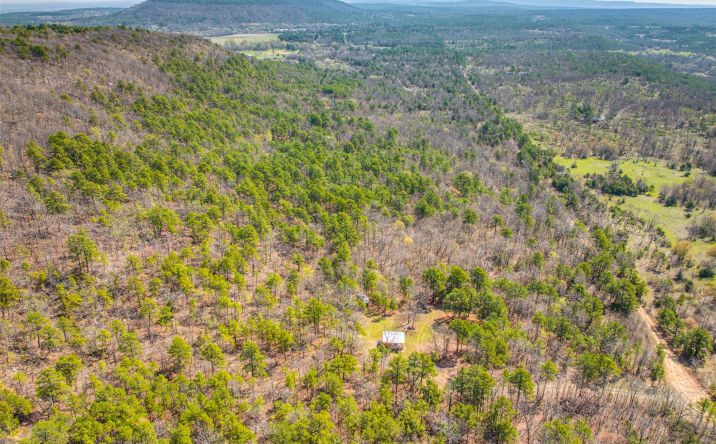 Pictures of Land property located at 31541 W County Road 1350, Kinta, OK 74552 for sales - image #1