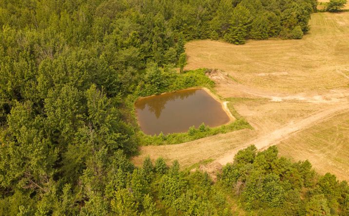 Pictures of Land property located at 4 Cannaday Flat Rd, Hector, AR 72843 for sales - image #1