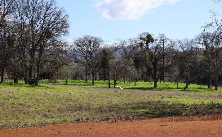 Pictures of Special Purpose property located at 10 Douglas Road S, Coarsegold, CA 93614 for sales - image #1