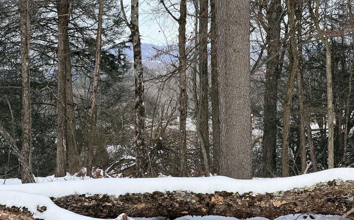 Pictures of Land, Special Purpose, Multifamily property located at Lot 30 Kenoza Trail, Delaware, NY 12723 for sales - image #1