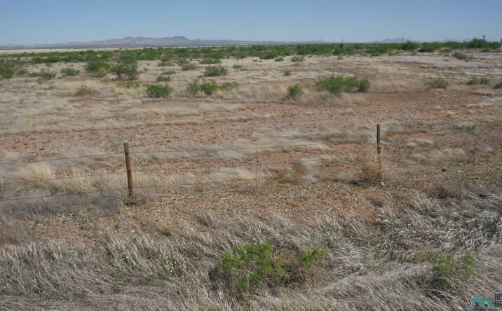 Pictures of Land property located at Road Forks Exit, Lordsburg, NM 88045 for sales - image #1