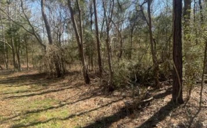 Pictures of Land property located at 214 Forest, Bullard, TX 75757 for sales - image #1