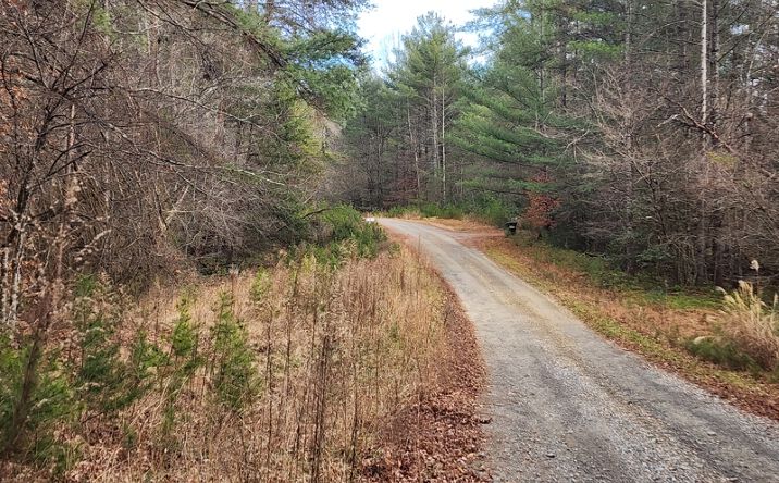 Pictures of Land property located at Lot #14 Rainbow Trout Dr, Hays, CT 28635 for sales - image #1