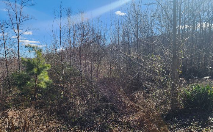 Pictures of Land property located at 21 Hickory Dr, Taylorsville, NC 28681 for sales - image #1