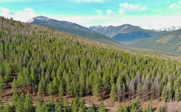 Pictures of Land property located at Lot 5 Panoramic View Drive, Libby, MT 59923 for sales - image #1