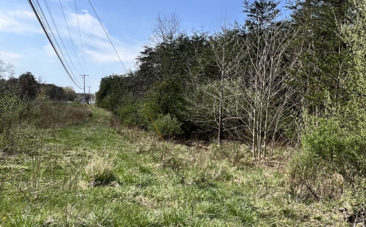 Pictures of Land property located at 7194 Valley Rd, Berkeley Springs, WV 25411 for sales - image #1