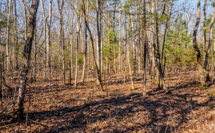 Pictures of Land property located at 0 Lasea Rd, Spring Hill, TN 37174 for sales - image #1