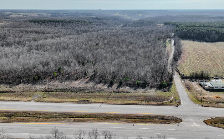 Pictures of Land property located at 0 Lawrenceburg Hwy, Lawrenceburg, TN 38464 for sales - image #1