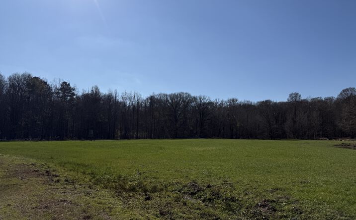 Pictures of Land property located at 114 HUFF LANE, ROXIE, MS, ROXIE, MS 39661 for sales - image #1