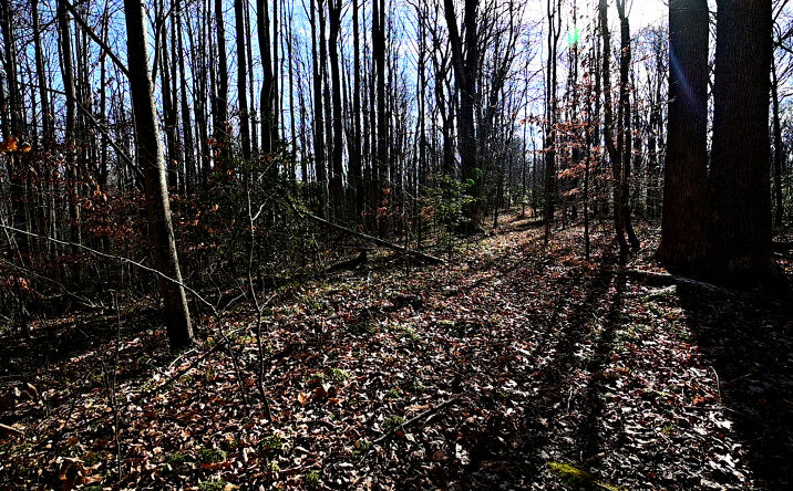 Pictures of Land property located at Richard Allen St, Eagle Harbor, MD 20608 for sales - image #1