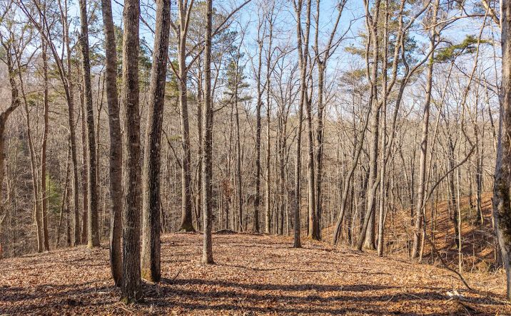 Pictures of Land property located at 1884 Finale St, Talkinbg Rock, GA 30175 for sales - image #1