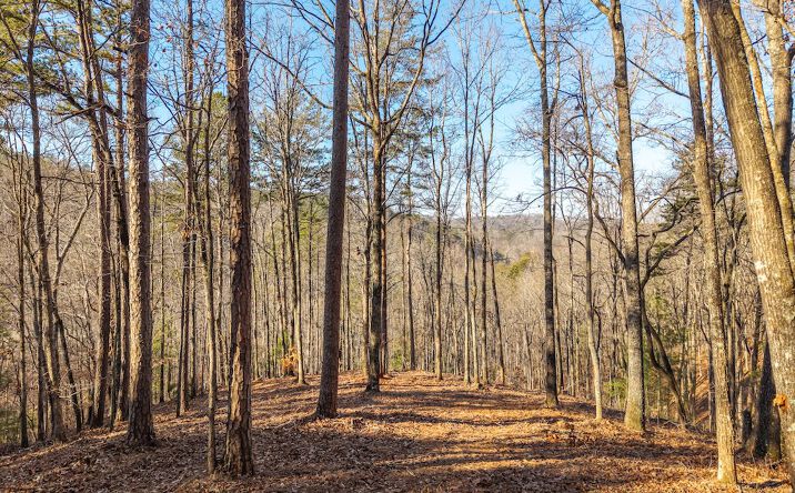 Pictures of Land property located at 1665 Hunter Dr, Talking Rock, GA 30175 for sales - image #1
