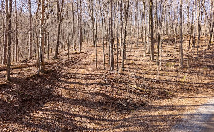 Pictures of Land property located at 1110 Mayfield Ln NE, Ranger, GA 30734 for sales - image #1