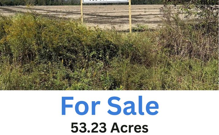 Pictures of Land, Hospitality, Industrial, Multifamily, Office, Retail property located at 20945 Ga-46, Pembrooke, SC 31321 for sales - image #1
