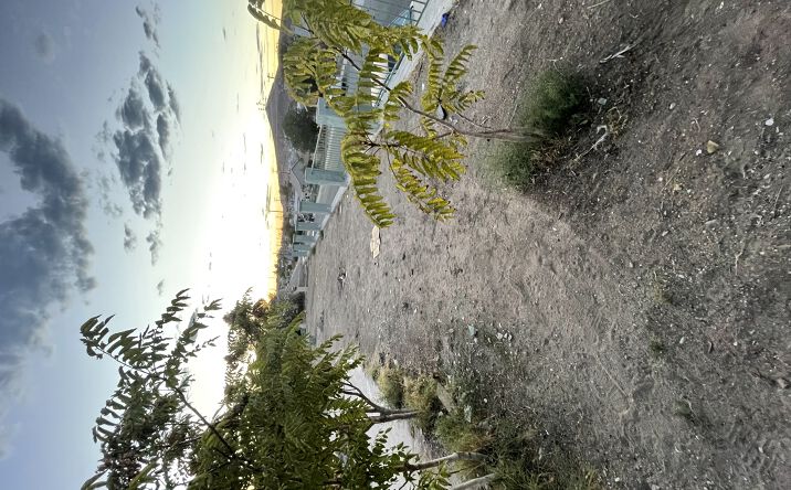 Pictures of Land property located at 226 E Fredricks St, Barstow, CA 92311 for sales - image #1