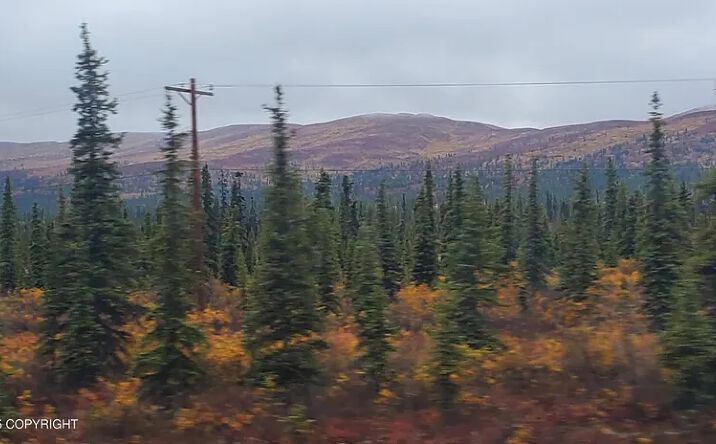 Pictures of Land property located at Mi 162 Glenn Highway, Glennallen, AK 99588 for sales - image #1