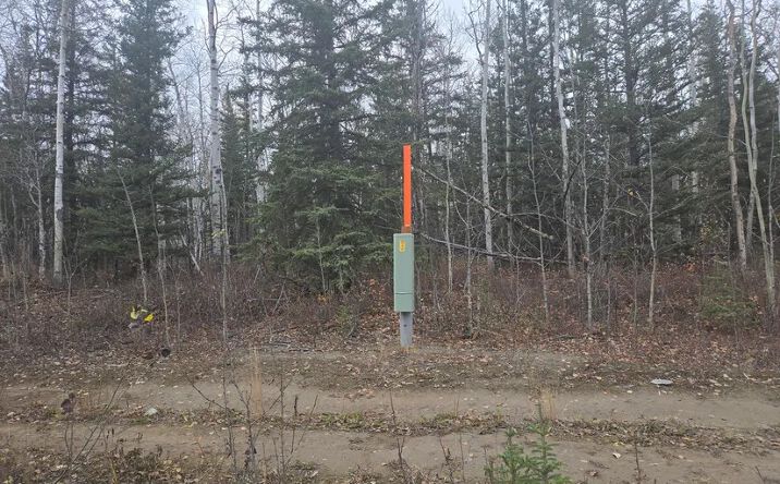 Pictures of Land property located at L2 B1 Brenden Boulevard, Copper Center, AK 99573 for sales - image #1