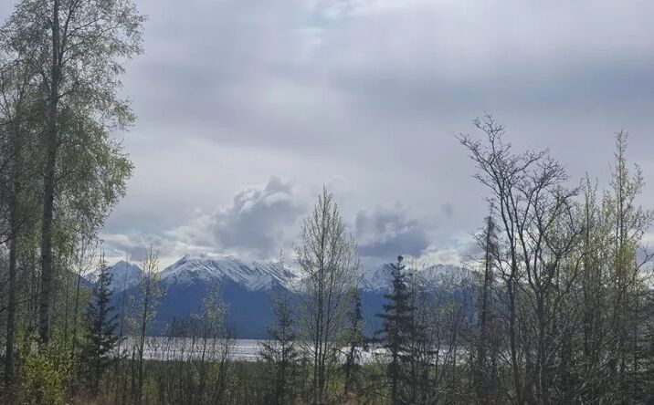 Pictures of Land property located at 7503 S Knik Goose Bay Rd, Wasilla, AK 99654 for sales - image #1