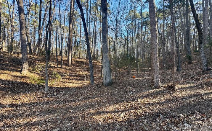 Pictures of Land property located at 24992 Business 52 Highway, Albemarle, NC 28001 for sales - image #1