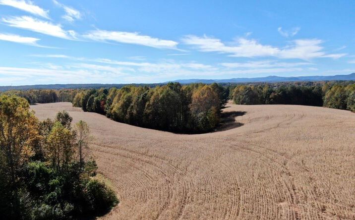 Pictures of Land property located at 116.35 Franklin Road, Mount Airy, NC 27030 for sales - image #1